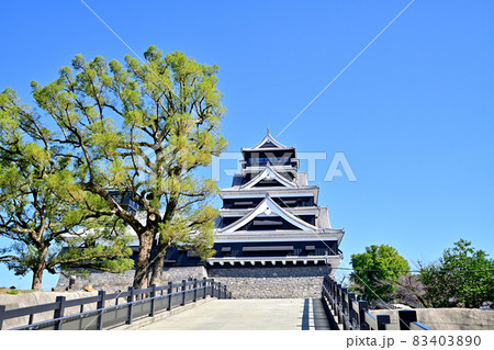 熊本城　復活した天守閣 83403890