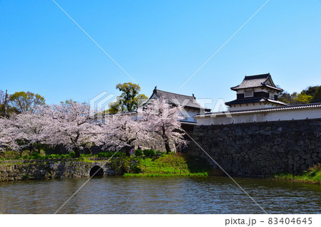 桜景 福岡城 桜景 福岡城 83404645