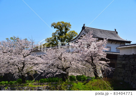 桜景 福岡城 桜景 福岡城 83404771