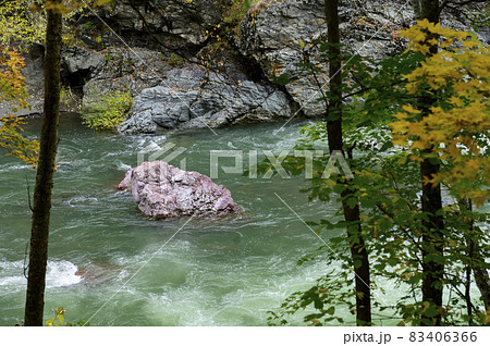 見頃を迎えた赤岩青巌峡の紅葉（北海道 占冠） 83406366