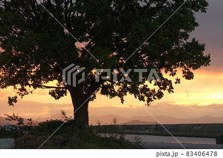 滋賀県彦根市の彦根港から見える夕景です 滋賀県彦根市の彦根港から見える夕景です 83406478