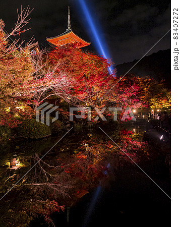 【京都】清水寺と紅葉ライトアップ 【京都】清水寺と紅葉ライトアップ 83407272