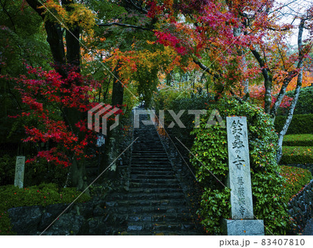【京都】雨の鈴虫寺の紅葉 【京都】雨の鈴虫寺の紅葉 83407810