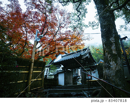 【京都】雨の鈴虫寺の紅葉 【京都】雨の鈴虫寺の紅葉 83407818