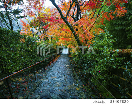 【京都】雨の鈴虫寺の紅葉 【京都】雨の鈴虫寺の紅葉 83407820