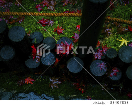 【京都】雨の鈴虫寺の紅葉 【京都】雨の鈴虫寺の紅葉 83407853