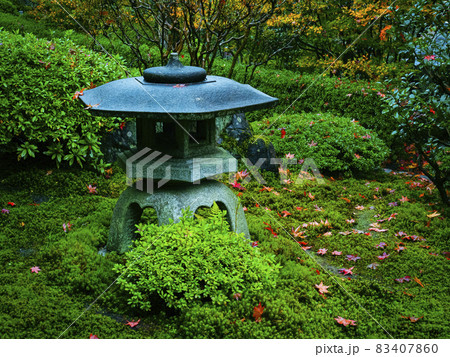 【京都】雨の鈴虫寺の紅葉 【京都】雨の鈴虫寺の紅葉 83407860