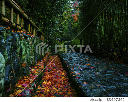 【京都】雨の鈴虫寺の紅葉 【京都】雨の鈴虫寺の紅葉 83407862