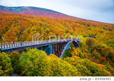 青森県 城ヶ倉大橋の紅葉 青森県 城ヶ倉大橋の紅葉 83408465