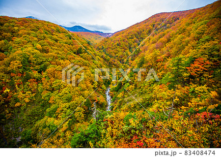 青森県　城ヶ倉大橋の紅葉 83408474