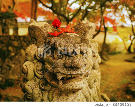 【京都】花の寺 勝持寺の紅葉 【京都】花の寺 勝持寺の紅葉 83409155