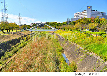 さんかくはし/鳥山川、横浜労災病院方面を望む(神奈川県横浜市)【2021.10】 さんかくはし/鳥山川、横浜労災病院方面を望む(神奈川県横浜市)【2021.10】 83409955