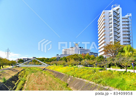 さんかくはし/鳥山川、横浜労災病院方面を望む(神奈川県横浜市)【2021.10】 さんかくはし/鳥山川、横浜労災病院方面を望む(神奈川県横浜市)【2021.10】 83409958