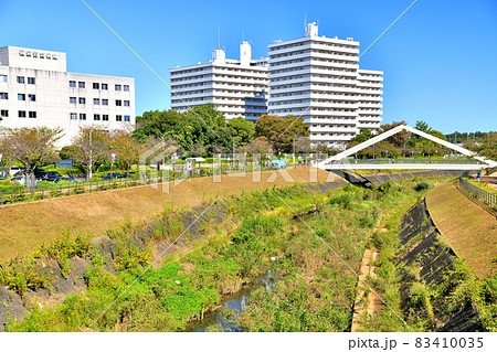 浜鳥橋/鳥山川よりさんかくはし方面を望む(神奈川県横浜市)【2021.10】 浜鳥橋/鳥山川よりさんかくはし方面を望む(神奈川県横浜市)【2021.10】 83410035