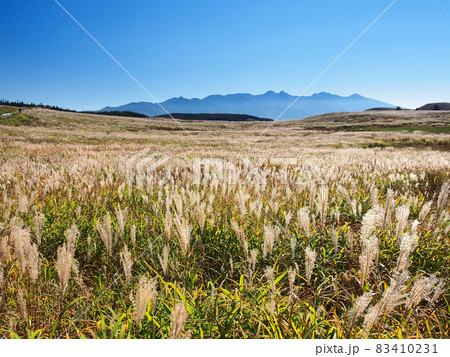 霧ヶ峰 ススキの草原と八ヶ岳の展望(蛙原・げえろっぱら)の写真素材