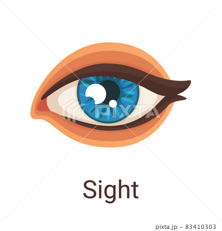 Vector illustration one of five senses - sight Vector illustration one of five senses - sight 83410303