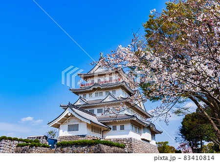 千葉城 亥鼻城 千葉市立郷土博物館 【 千葉 の 桜 の 名所 】 千葉城 亥鼻城 千葉市立郷土博物館 【 千葉 の 桜 の 名所 】 83410814