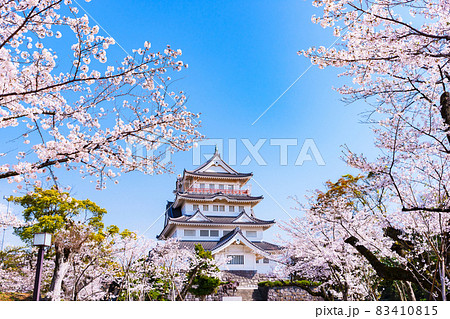 千葉城 亥鼻城 千葉市立郷土博物館 【 千葉 の 桜 の 名所 】 千葉城 亥鼻城 千葉市立郷土博物館 【 千葉 の 桜 の 名所 】 83410815