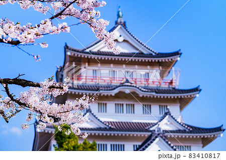 千葉城　亥鼻城　千葉市立郷土博物館　【 千葉 の 桜 の 名所 】 83410817