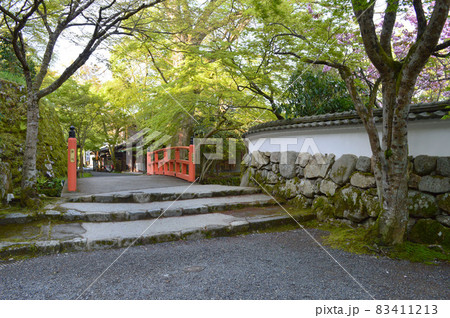 5月の京都大原の里、実光院から三千院への小径が青もみじで美しい 83411213