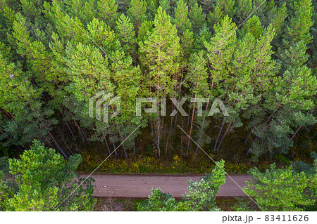 Aerial view from drone of rural road leading through autumn forests and groves in yellow green colors. Dense forest in golden time and empty highway in fall season. Roadway among colorful treetops Aerial view from drone of rural road leading through autumn forests and groves in yellow green colors. Dense forest in golden time and empty highway in fall season. Roadway among colorful treetops 83411626