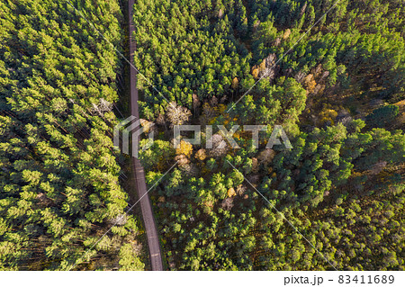 Aerial view from drone of concrete road leading through autumn dense forests and groves in yellow green colors. Trees in golden time and empty highway in fall season. Roadway among colorful treetops Aerial view from drone of concrete road leading through autumn dense forests and groves in yellow green colors. Trees in golden time and empty highway in fall season. Roadway among colorful treetops 83411689