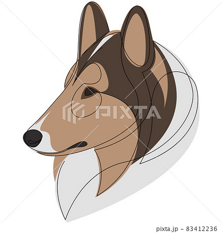 Line drawing Rough Collie Dog with colour....のイラスト素材 ...