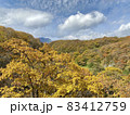 紅葉した山の樹木と晴れた秋空 83412759