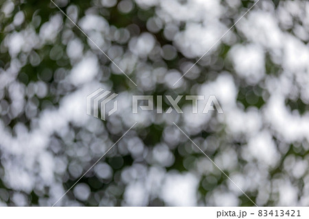 Abstract bokeh from light shining through leaves, blur wall, circle white bokeh Abstract bokeh from light shining through leaves, blur wall, circle white bokeh 83413421