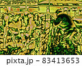 Abstract computer graphic image of a photographer photographing a bull 83413653