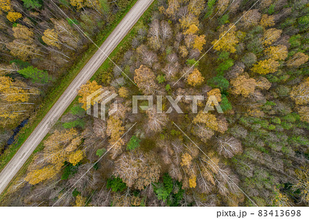 Aerial view from drone of rural road leading through autumn forests and groves in yellow green colors. Dense forest in golden time and empty highway in fall season. Roadway among colorful treetops 83413698