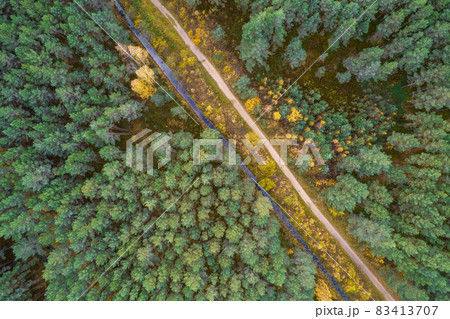 Aerial view from drone of rural road leading through autumn forests and groves in yellow green colors. Dense forest in golden time and empty highway in fall season. Roadway among colorful treetops 83413707