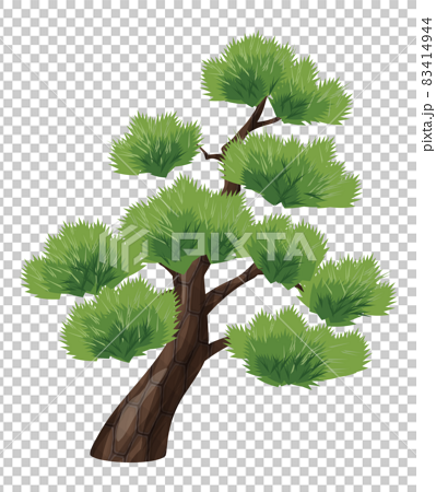 松の木のイラスト 色褪せたのイラスト素材
