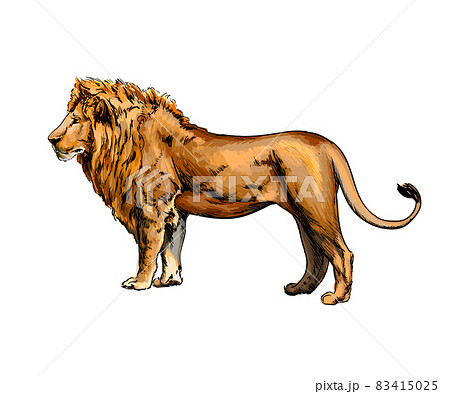 送料込】 アボリジニの方のライオンの絵 絵画 - www.citylaw.com.sg