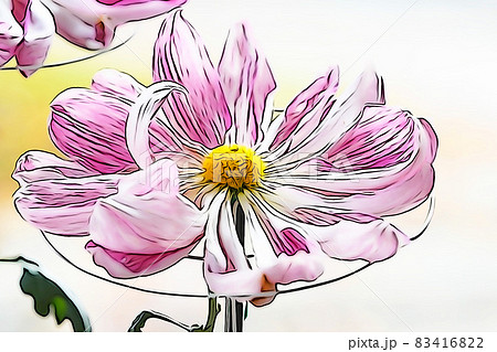 パステル調 ”大輪菊 懸崖菊” イラストイメージ パステル調 ”大輪菊 懸崖菊” イラストイメージ 83416822