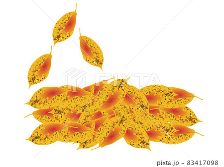 「紅葉した落ち葉」と「舞い落ちる葉」赤 83417098