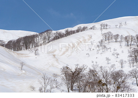 雪山に降る黄砂 雪山に降る黄砂 83417333