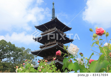四国霊場第70番札所「本山寺」五重塔と芙蓉の花 83417694
