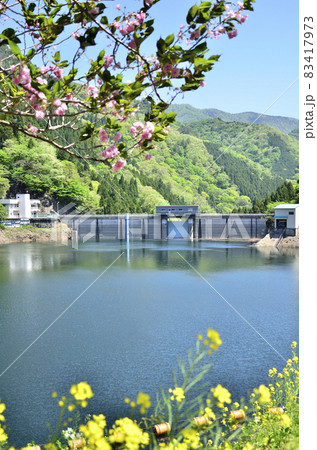 ダム湖 ダム湖 83417973