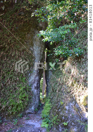 岩屋公園の奇岩・針の耳 83418013