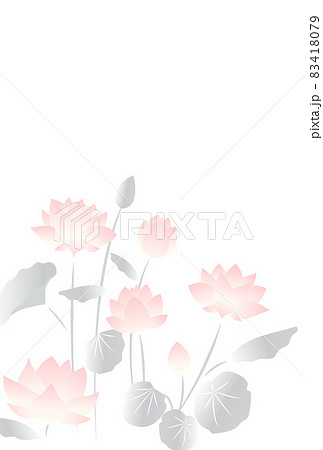淡い色合いの蓮の花の文字なしポストカード 83418079