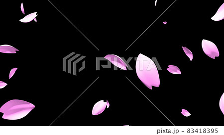 舞い散る桜のような花びら 舞い散る桜のような花びら 83418395