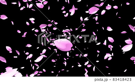 舞い散る桜のような花びらのイラスト素材 [83418423] - PIXTA