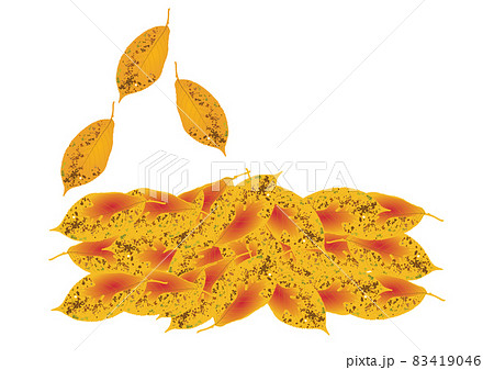 「紅葉した落ち葉」と「舞い落ちる葉」黄 83419046