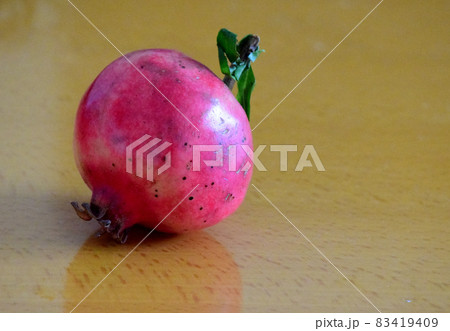 ザクロの実 黄色背景 収穫したザクロの実一つ 黄色背景 の写真素材