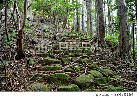 曽根次郎坂太郎坂の石畳(伊勢路) 【三重県尾鷲市・三重県熊野市】 曽根次郎坂太郎坂の石畳(伊勢路) 【三重県尾鷲市・三重県熊野市】 83420164