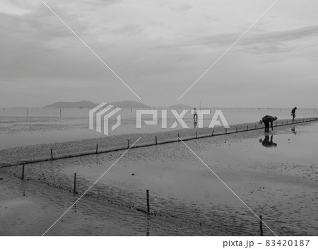 Black and white landscape photo: a seaside baseball village at dawn. 83420187