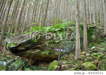 くじら石　(曽根次郎坂太郎坂)　【三重県尾鷲市・三重県熊野市】 83420251