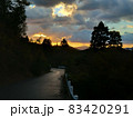 山の中で朝焼けを見る 83420291