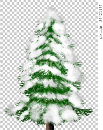 雪をかぶったモミの木のイラスト素材